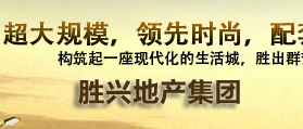 河北勝興地產(chǎn)集團 網(wǎng)站改版 網(wǎng)站建設